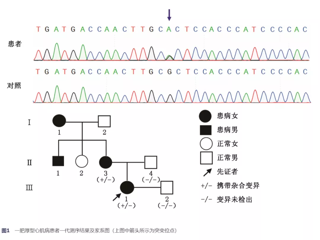 【佳学基因检测】基因检测确认心脏病突变，后代或者二胎是如何确保健康的？