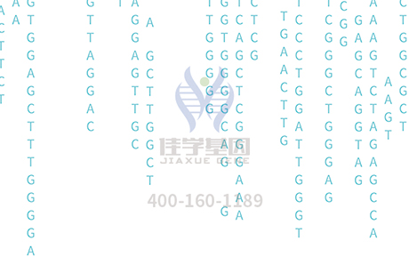 <b>【佳学基因检测</b>