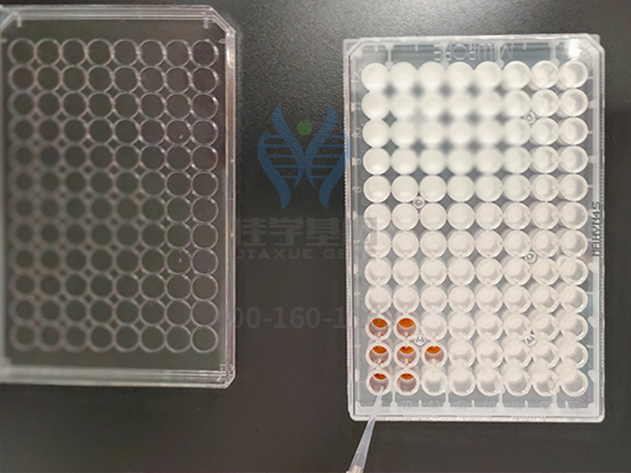 知道CYP24A1的这些内容，是疾病筛查全面性一个准备