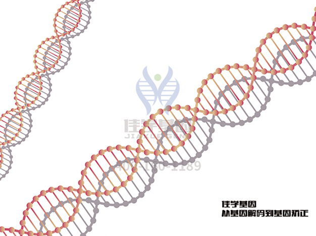 <b>【佳学基因检测</b>