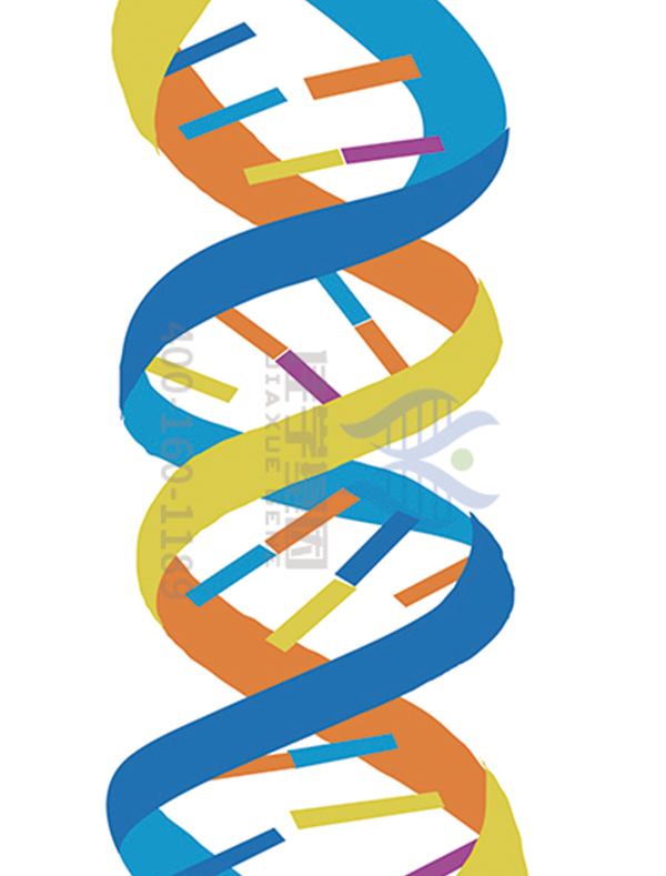 <b>【佳学基因检测】DDX5基因序列有异沉常会引起什么健康风险</b>
