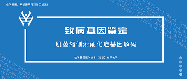 CYP26A1基因解码从哪几个角度进行？