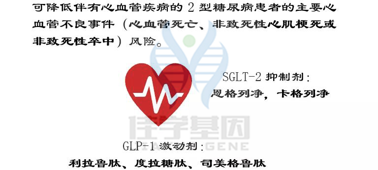 <b>【佳学基因检测</b>