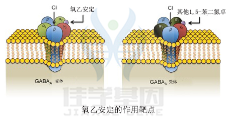 <b>【佳学基因检测</b>