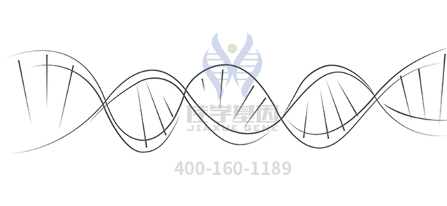 <b>【佳学基因检测</b>