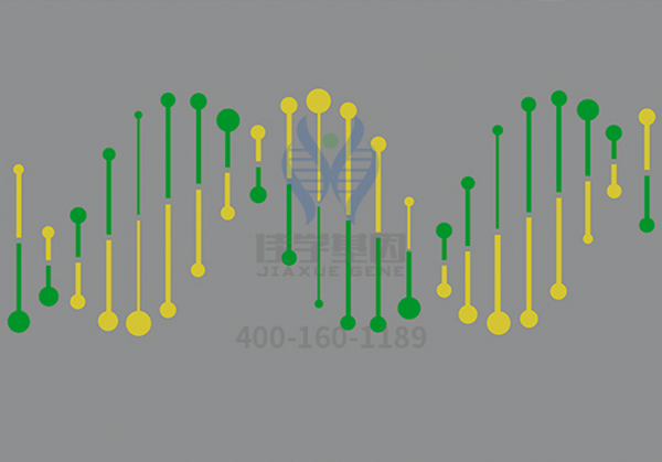 【佳学基因-基因检测】基因解码助力雷特综合征(RETT综合征）有效防治