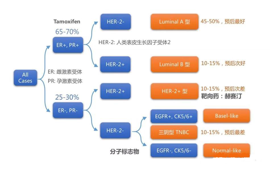 【佳学基因-基因检测】乳腺癌精准治疗之分子分型治疗时代