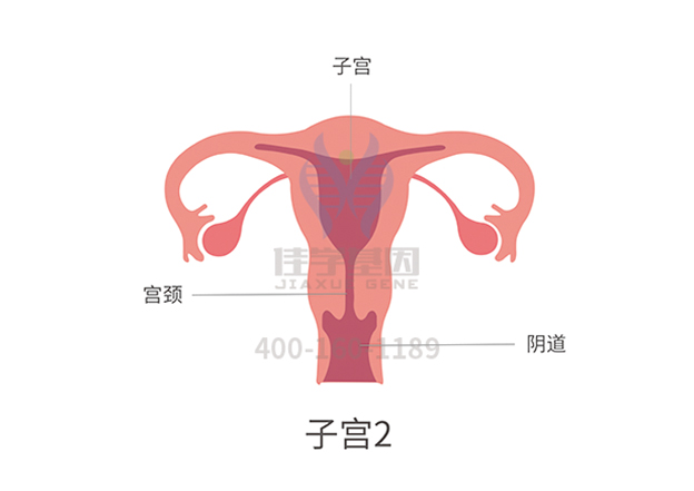 【佳学基因检测