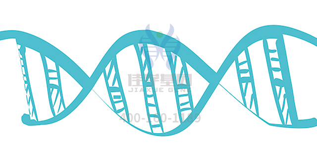 【佳学基因-基因检测】父母均正常，为什么孩子会患上“瓷娃娃”——成骨不全症？