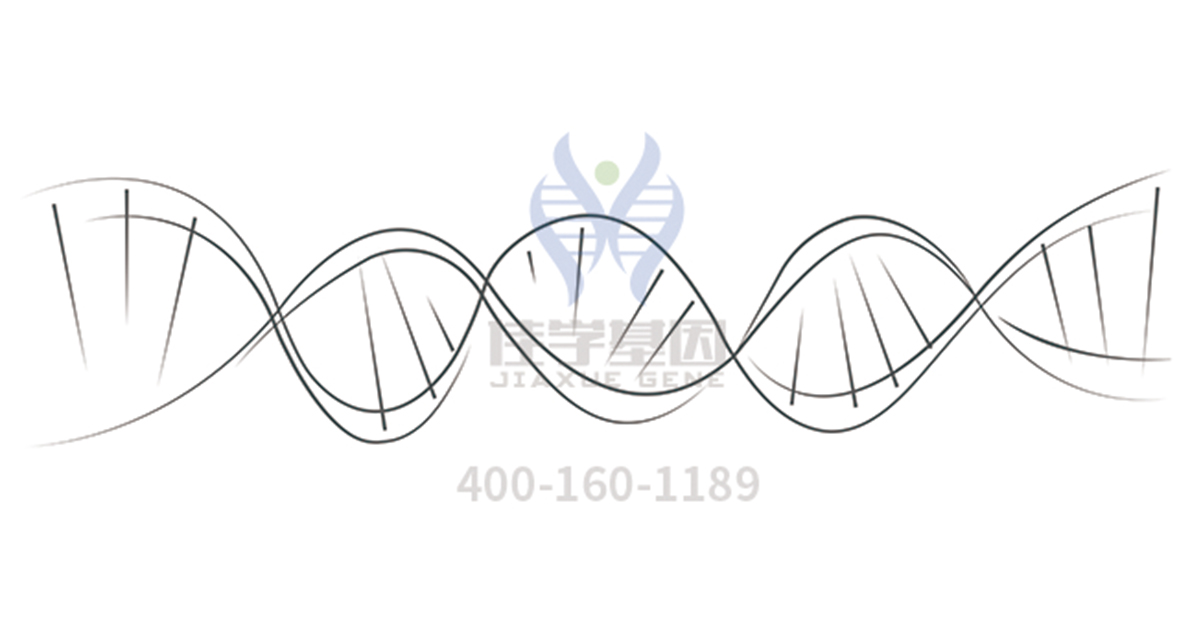 【佳学基因解码-基因检测】基因检测可以知晓影响老年生活的阿尔茨海默病的患病风险吗？