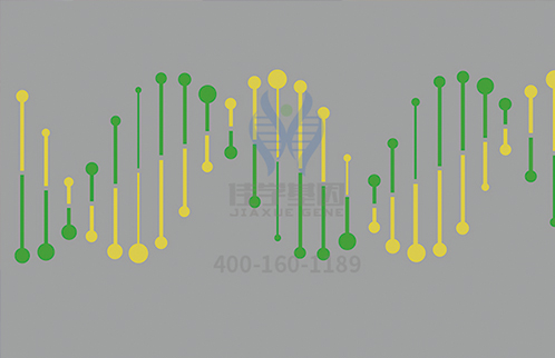 【佳学基因检测