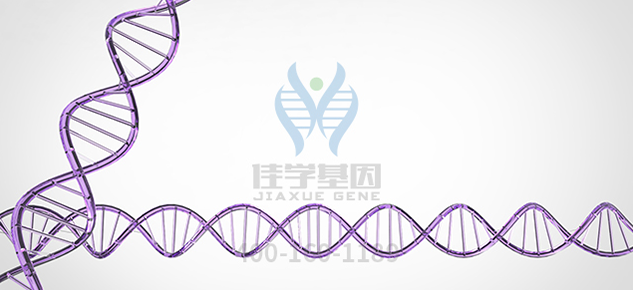 【佳学基因-基因检测】如何摆脱令人困扰的过敏性皮炎