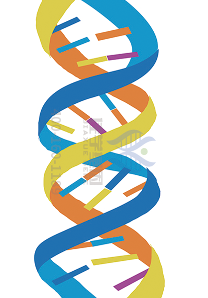 【佳学基因-基因