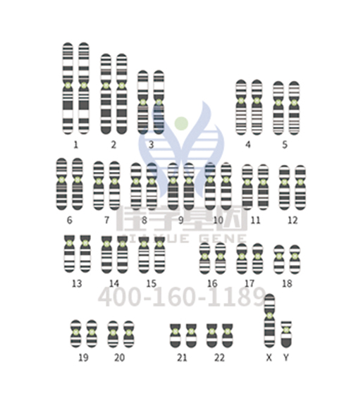 【佳学基因-基因检测】基因异常导致染色体病，基因解码助力有效防治