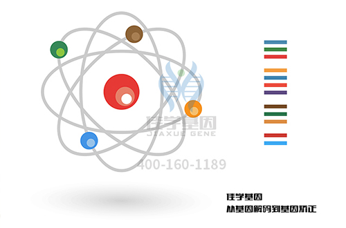【佳学基因-基因检测】2岁宝宝微笑不止,原来是患上“天使综合征” 【佳学基因-基因检测】2岁宝宝微笑不止,原来是患上“天使综合征”