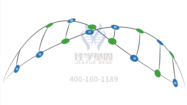 【佳学基因-基因检测】日本历史上第一位平民皇后美智子——罕见连心眉让她变的更加独特！