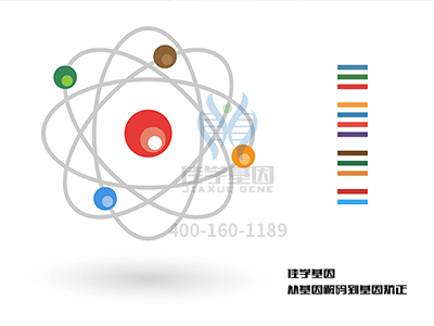 【佳学基因-基因检测】轻松一点，癌症走开