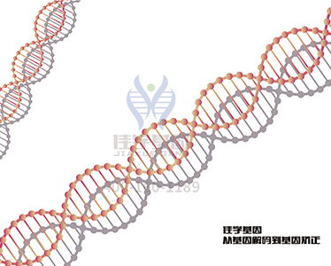 【佳学基因检测