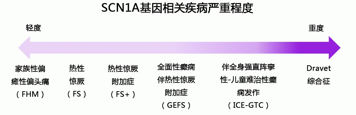 【佳学基因解码-基因检测】严重类型的癫痫发作到底有多可怕