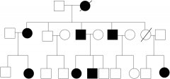 【佳学基因-基因