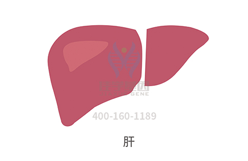 【佳学基因检测