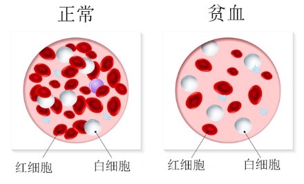 <b>【佳学基因检测</b>