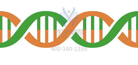 【佳学基因检测