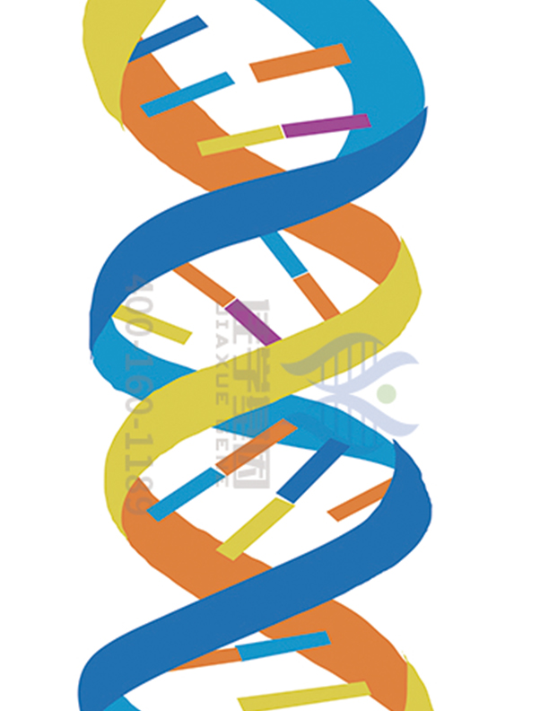【佳学基因解码