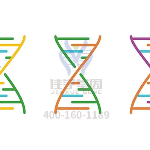 <b>【佳学基因检测</b>