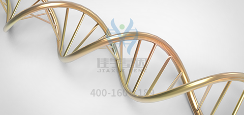 【佳学基因检测