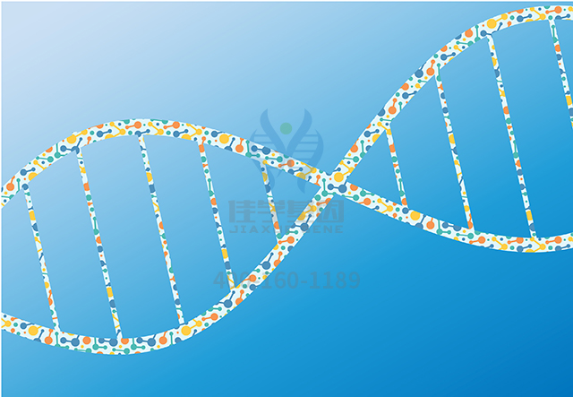 <b>【佳学基因检测</b>