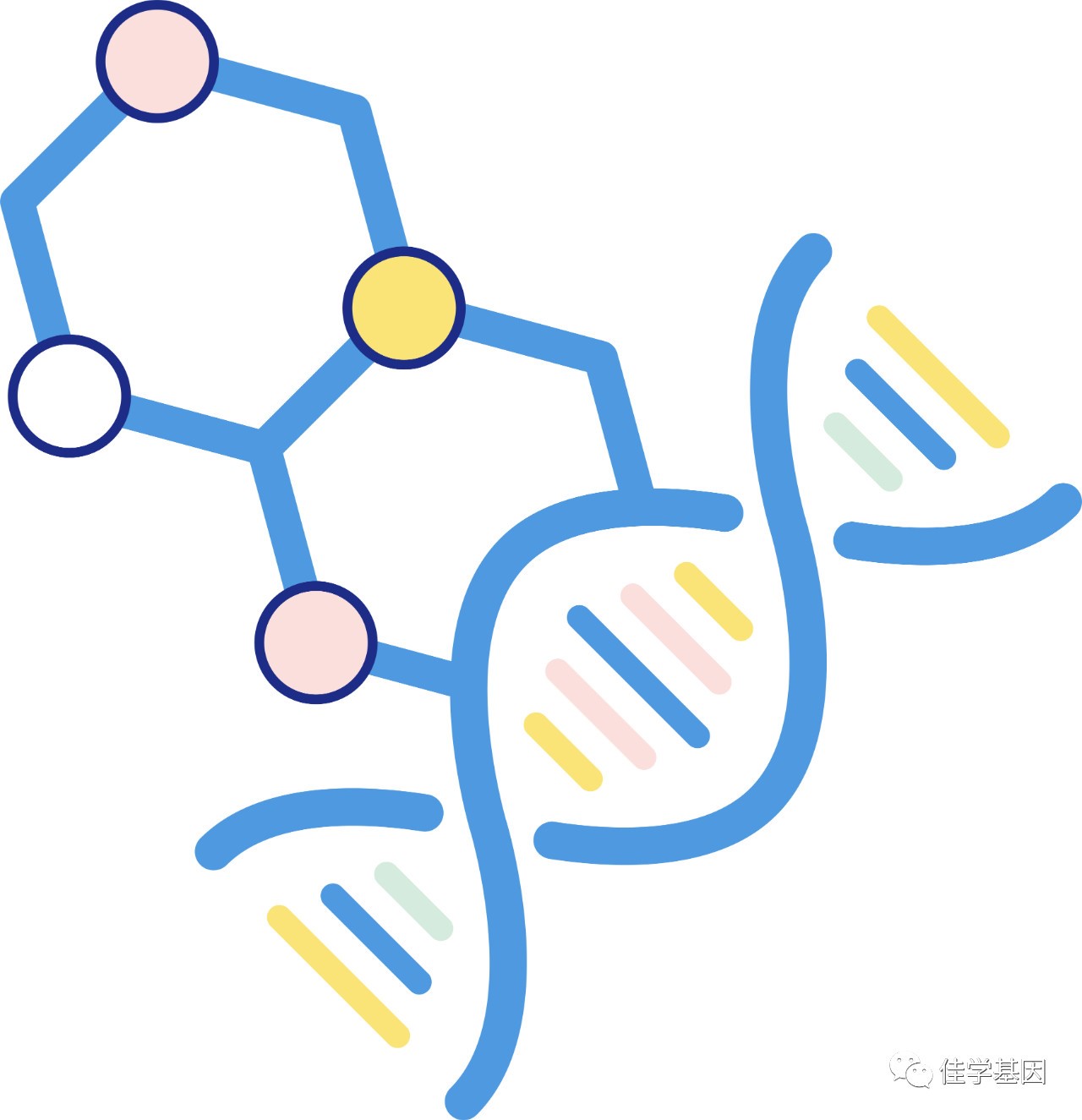 【基因解码项目