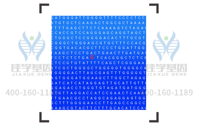 【佳学基因检测