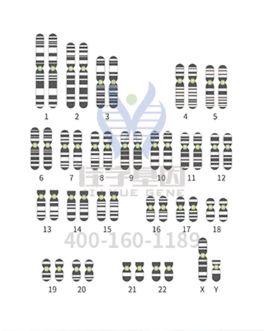 <b>【佳学基因检测</b>