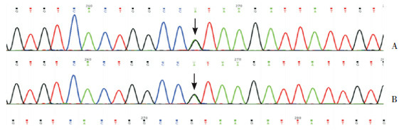 <b>【佳学基因检测</b>