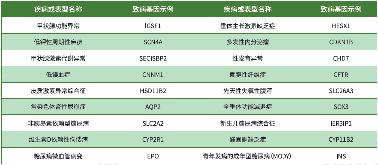 遗传代谢科突变检测知识测验中关于EIF4EBP2的准备