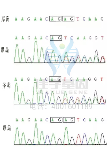 <b>【佳学基因检测</b>