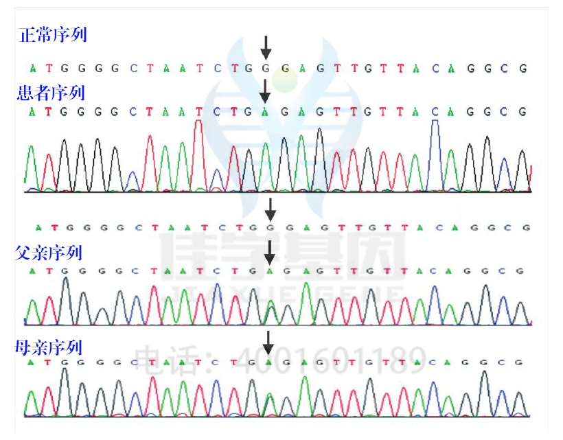 <b>【佳学基因检测</b>