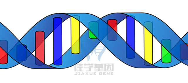 <b>【佳学基因检测</b>