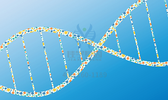 <b>【佳学基因检测</b>