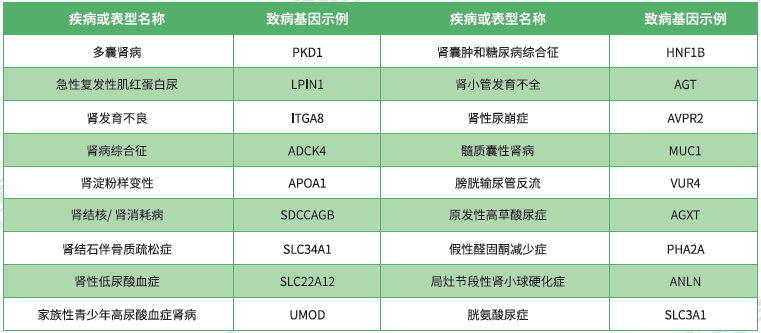 神经科基因突变检测项目招标问题中关ERH问题的答案