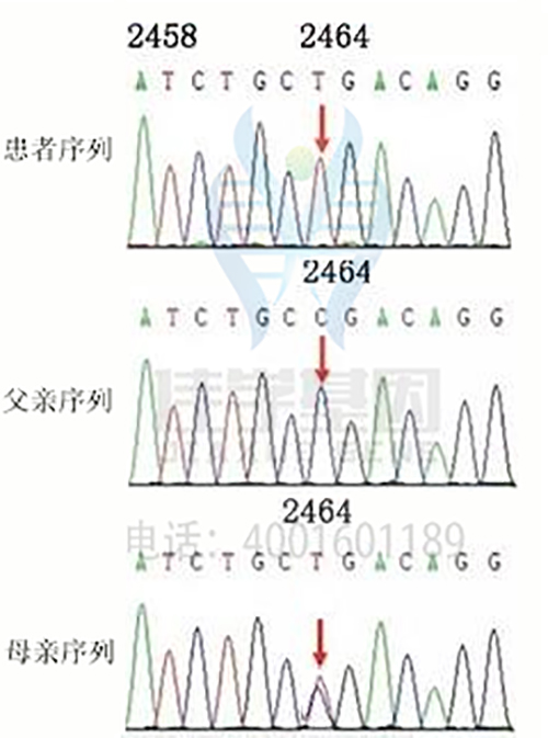 <b>【佳学基因检测</b>