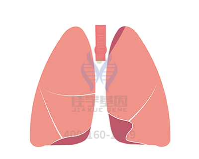 <b>【佳学基因检测</b>