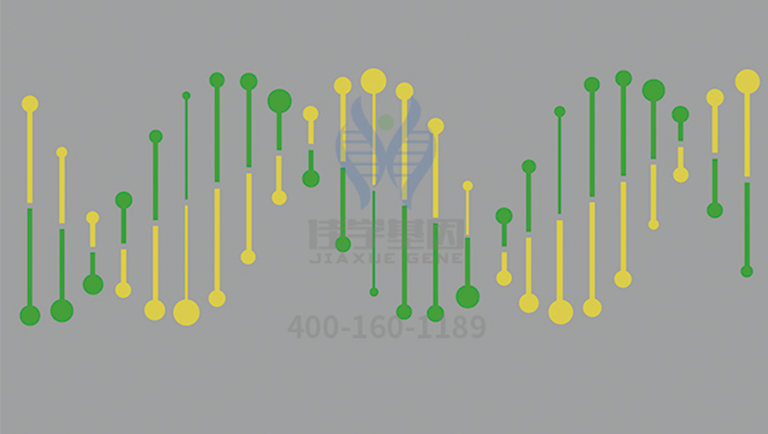 【佳学基因检测