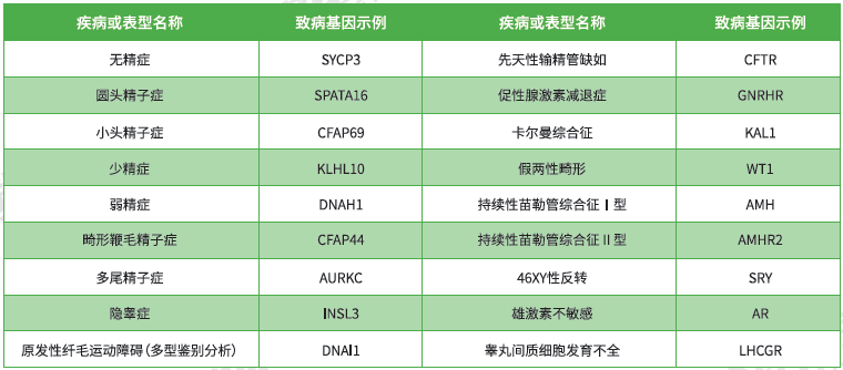 <b>【佳学基因检测</b>