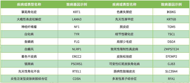 【佳学基因检测