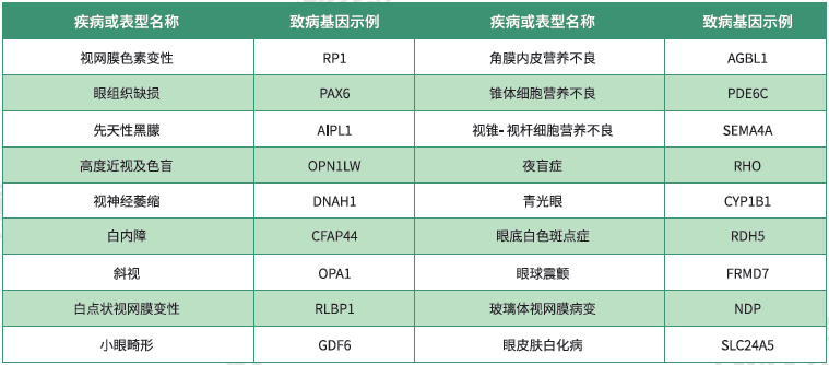 <b>【佳学基因检测</b>