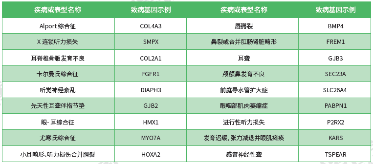 【佳学基因检测