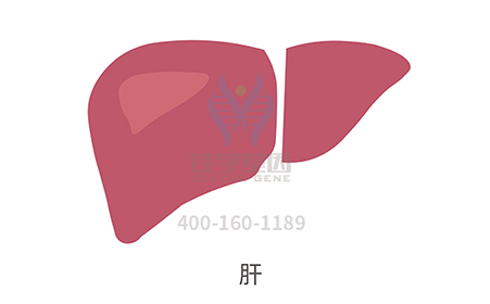 <b>【佳学基因检测</b>