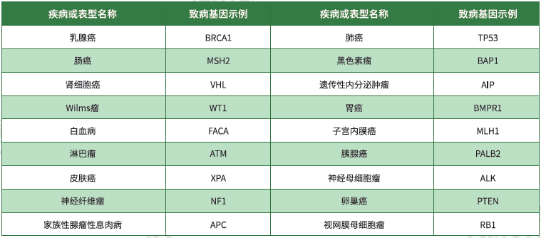 【佳学基因检测